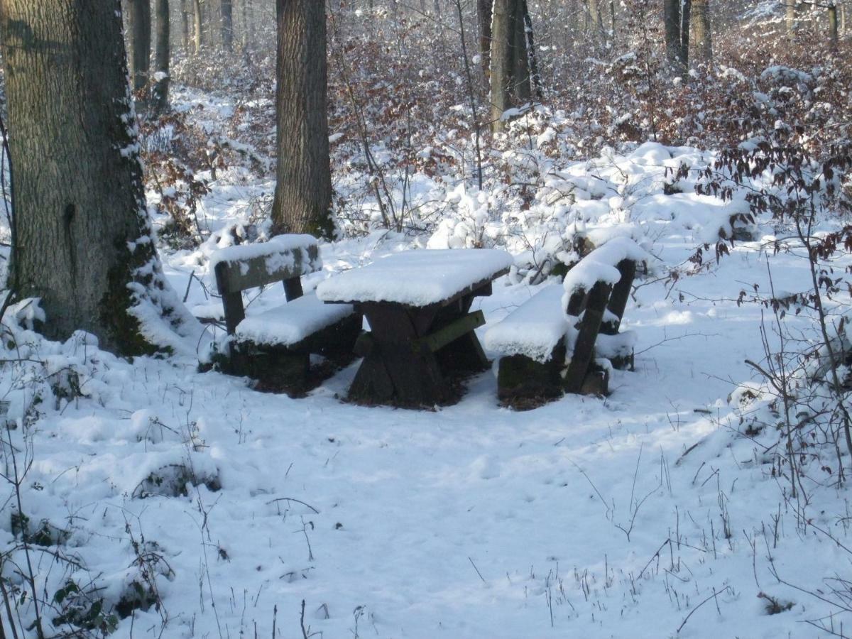 Ferienwohnung Bockelt Stadtlauringen エクステリア 写真